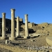 temple_habu_lux_h_0184_egy2441.jpg